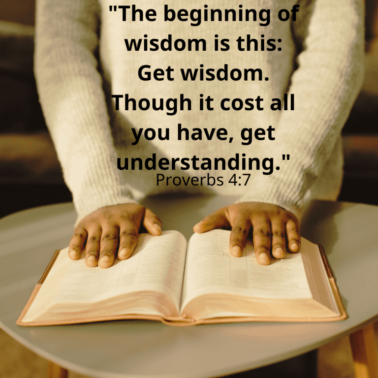 Proverbs 47 - The beginning of wisdom is this Get wisdom. Though it cost all you have, get understanding.