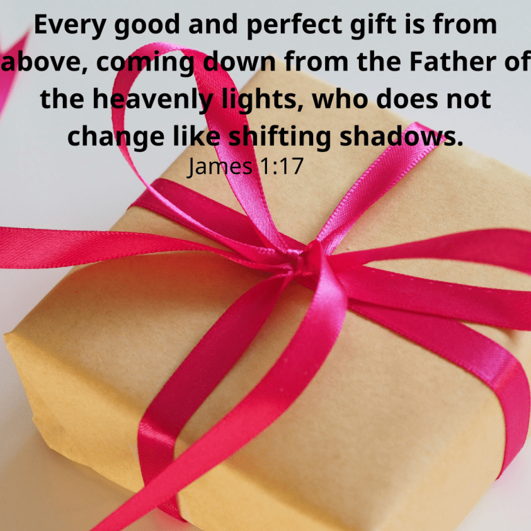 Every good and perfect gift is from above, coming down from the Father of the heavenly lights, who does not change like shifting shadows.