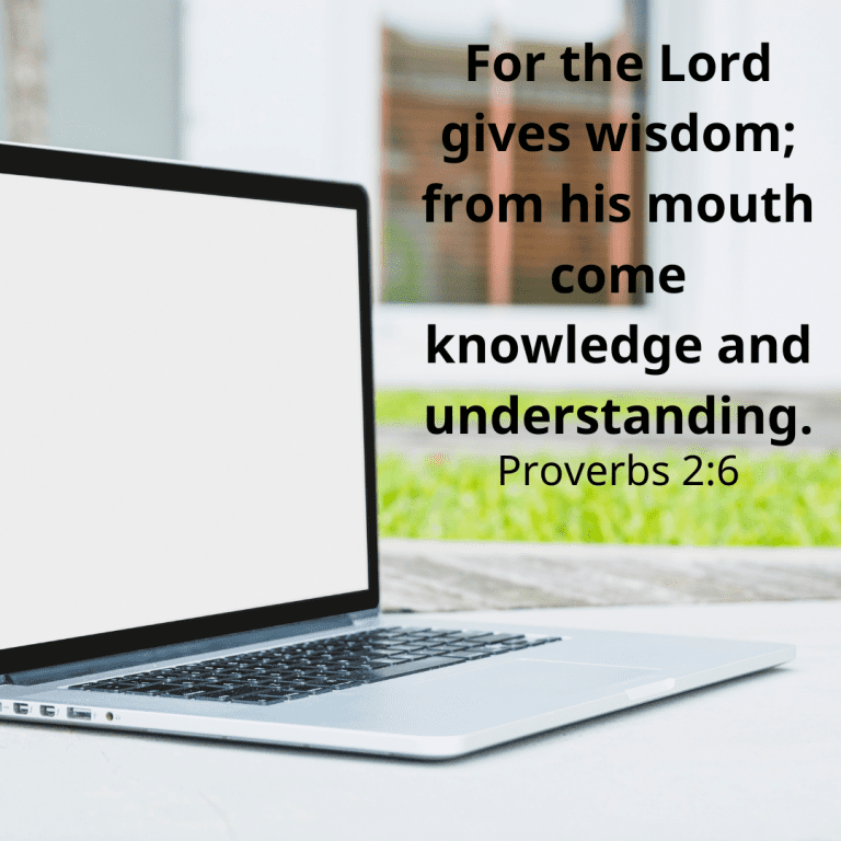 For the Lord gives wisdom; from his mouth come knowledge and understanding.-2