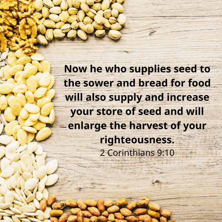 Now he who supplies seed to the sower and bread for food will also supply and increase your store of seed and will enlarge the harvest of your righteousness.-2