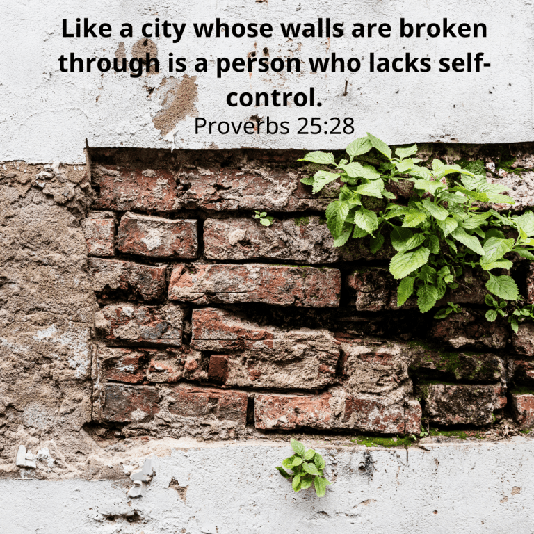 Like a city whose walls are broken through is a person who lacks self-control.